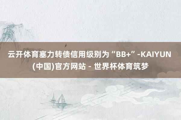 云开体育塞力转债信用级别为“BB+”-KAIYUN (中国)官方网站 - 世界杯体育筑梦