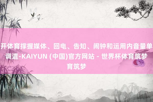 云开体育撑握媒体、回电、告知、闹钟和运用内音量单独调遣-KAIYUN (中国)官方网站 - 世界杯体育筑梦