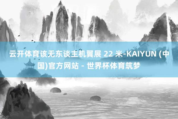 云开体育该无东谈主机翼展 22 米-KAIYUN (中国)官方网站 - 世界杯体育筑梦