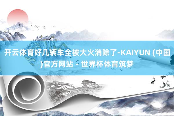 开云体育好几辆车全被大火消除了-KAIYUN (中国)官方网站 - 世界杯体育筑梦