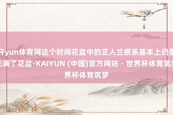 开yun体育网这个时间花盆中的正人兰根系基本上仍是长满了花盆-KAIYUN (中国)官方网站 - 世界杯体育筑梦