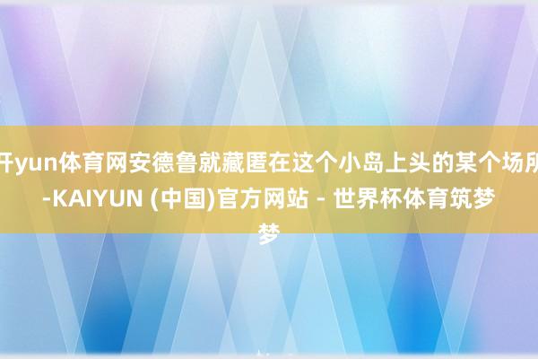 开yun体育网安德鲁就藏匿在这个小岛上头的某个场所-KAIYUN (中国)官方网站 - 世界杯体育筑梦