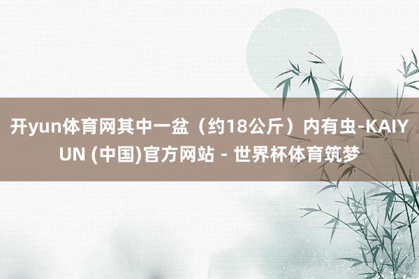 开yun体育网其中一盆（约18公斤）内有虫-KAIYUN (中国)官方网站 - 世界杯体育筑梦